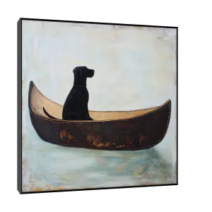 Dog on boat