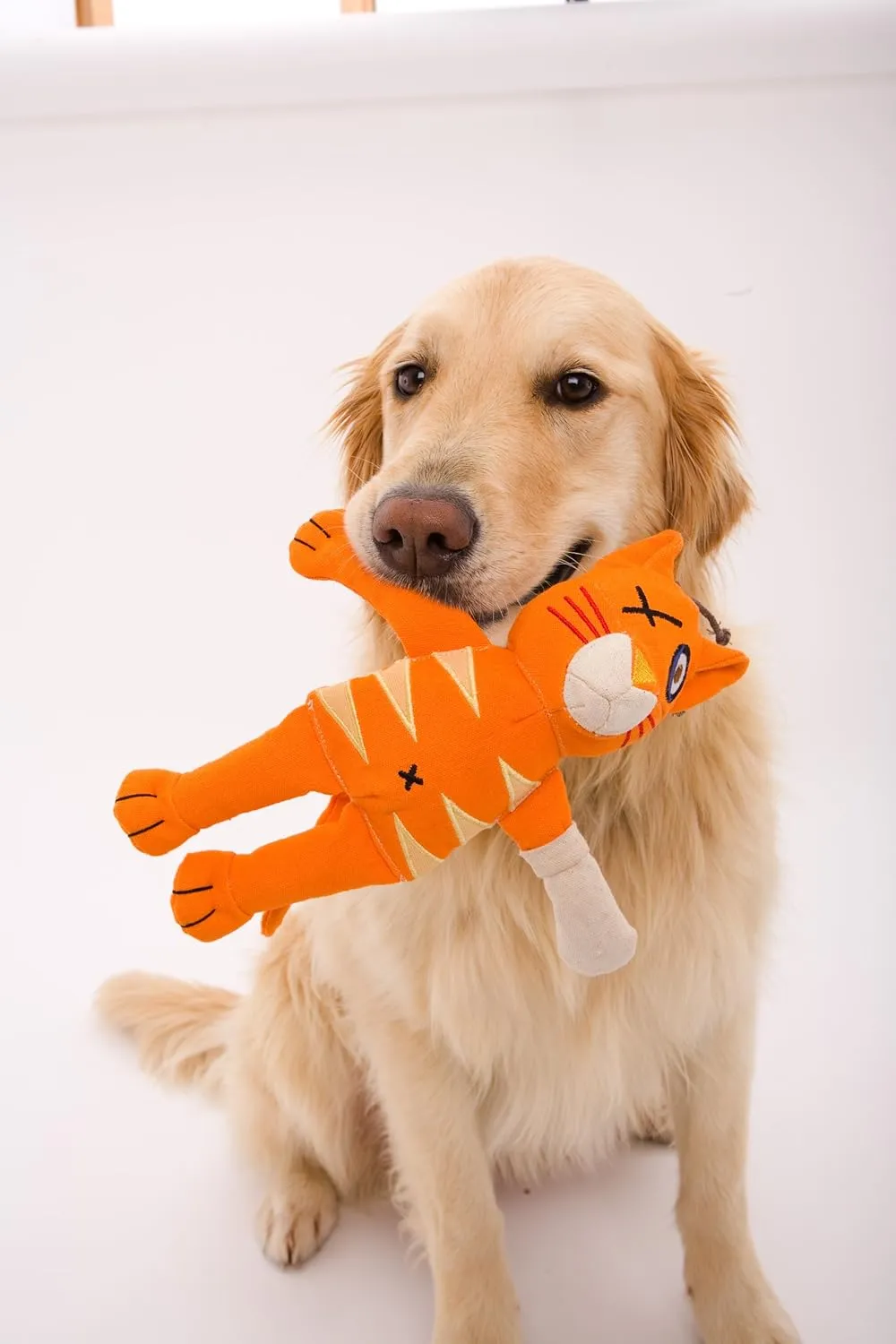 Doggles Cast of Characters Large Dog Toy, Brown Squirrel