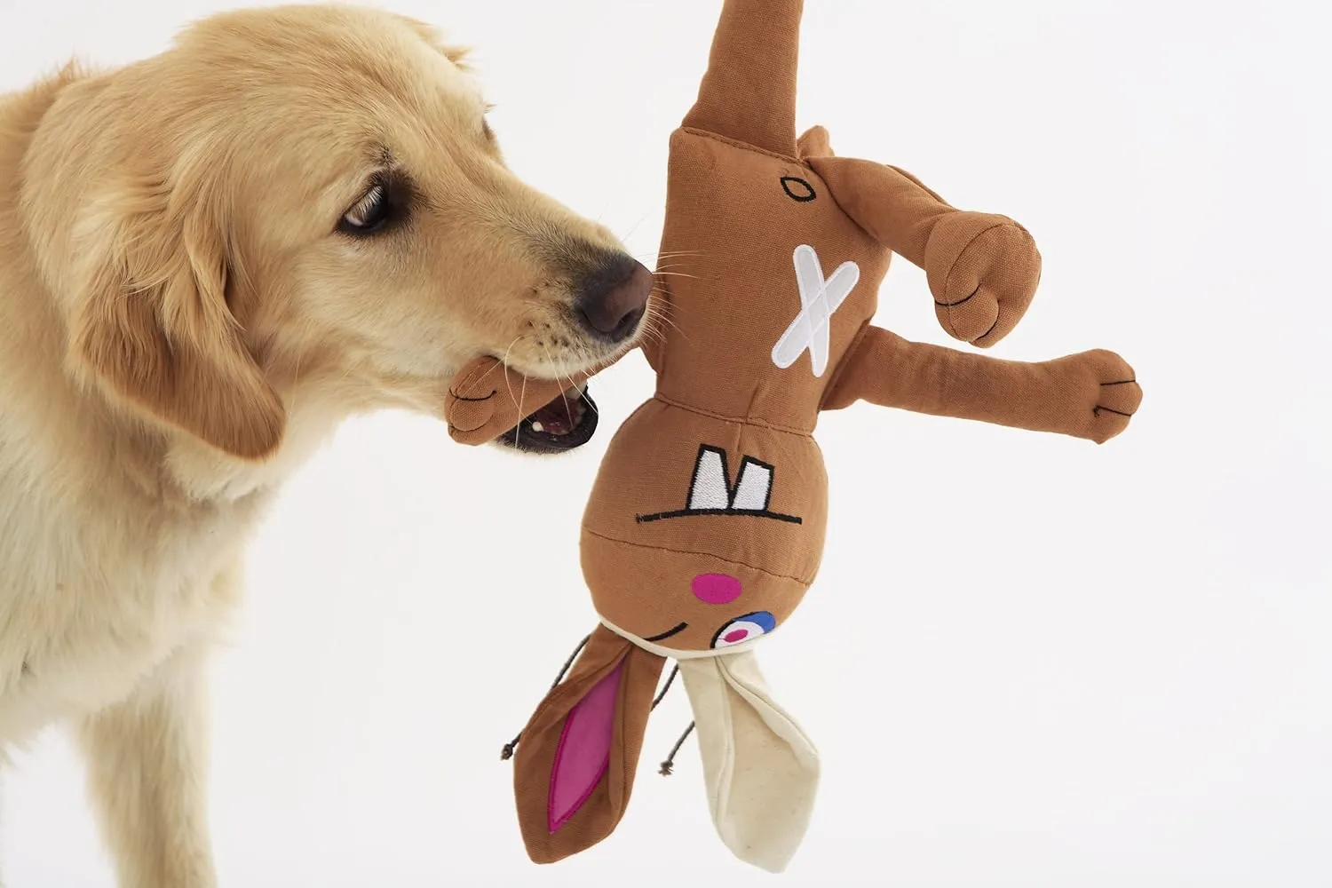 Doggles Cast of Characters Large Dog Toy, Brown Squirrel