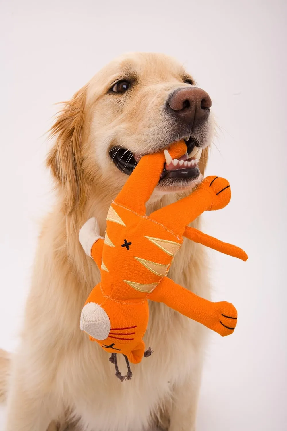 Doggles Cast of Characters Large Dog Toy, Brown Squirrel