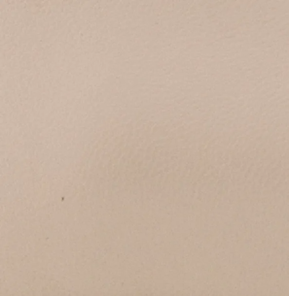 Juliet Leather Bow T-Strap Flat