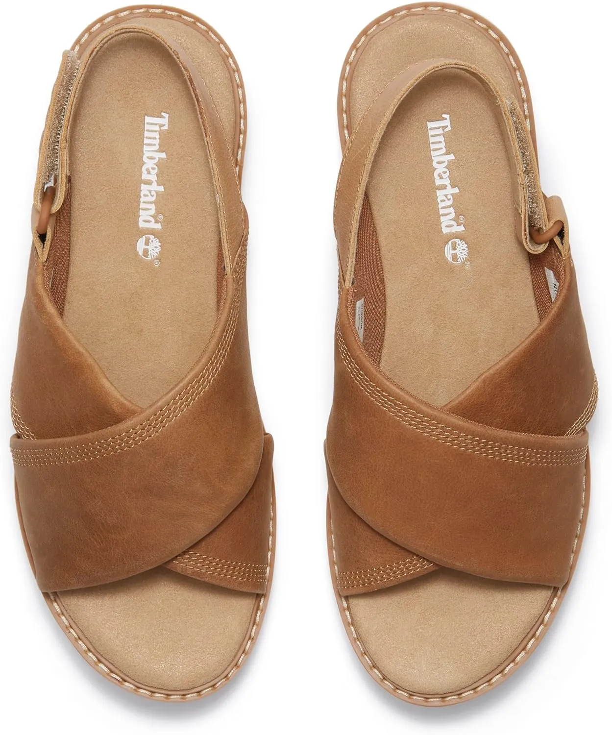 Timberland Women's Safari Dawn Backstrap Sandal